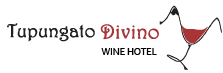 Tupungato Divino Logo