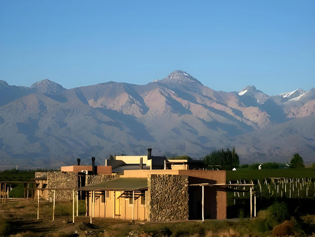 Tupungato Vineyard